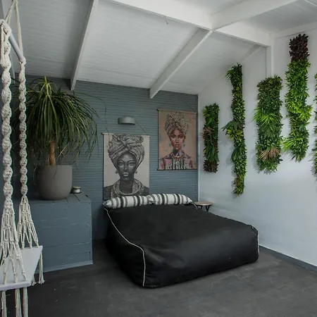 Apartament Jns Premium *