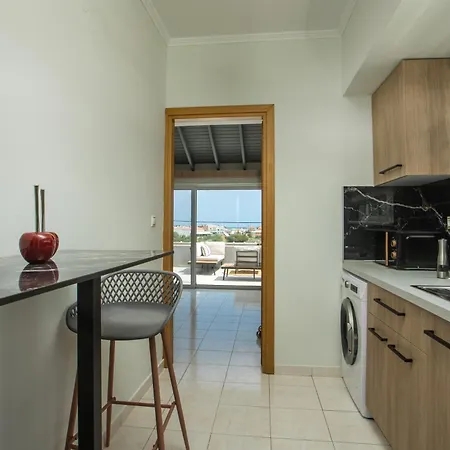 Jns Premium 法里拉基