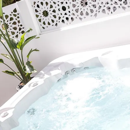 Jns Premium 法里拉基